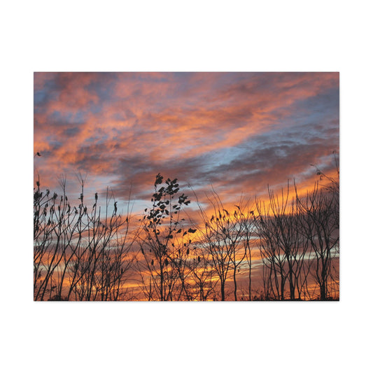 SUNDAY MORNING Canvas Gallery Wraps